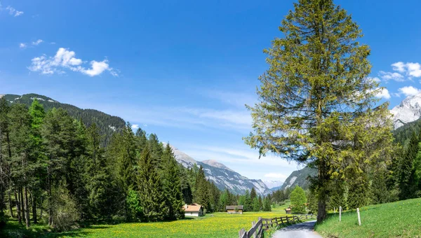 Θέα Μια Ειδυλλιακή Κοιλάδα Του Βουνού Στην Καρδιά Των Ελβετικών — Φωτογραφία Αρχείου