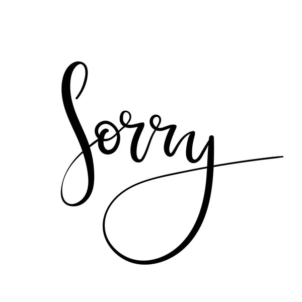 Sorry hand lettering card. Modern alligraphy apology. Ink illustration. Modern brush calligraphy. — Stock Vector