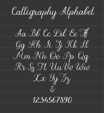 El yazısı fırça harfler. ABC. Modern hat. El yazı vektör alfabesi