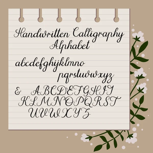 Handwritten alphabet. Modern Calligraphy. Uppercase, lowercase letters. Hand drawn script. — Stock Vector