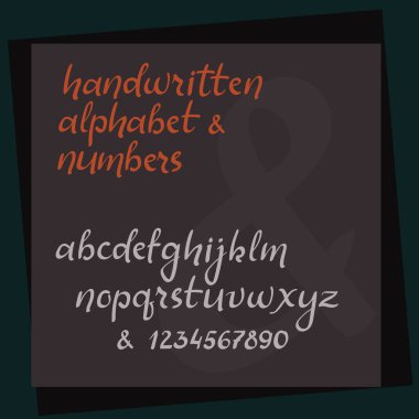 El yazısı hat alfabe. El yazı vektör abc. Fırça stil harfler