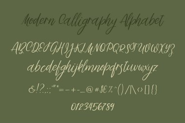 Decorative hand drawn alphabet. Handwritten brush font. Modern calligraphy ABC. clipart