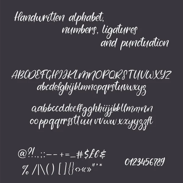 Alfabeto caligráfico moderno. Cartas de pincel manuscritas. Hand lettering fuente con ligaduras — Archivo Imágenes Vectoriales