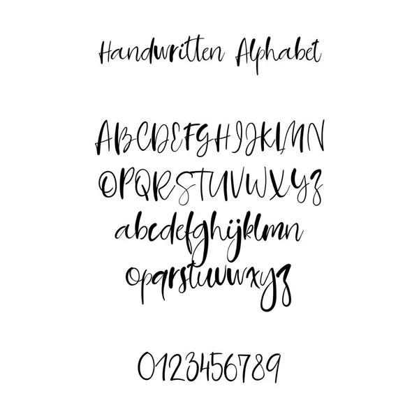 Decorative hand drawn alphabet. Handwritten brush font. Modern calligraphy ABC. — Stock Vector