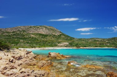 Sardunyalı denizin turkuaz su