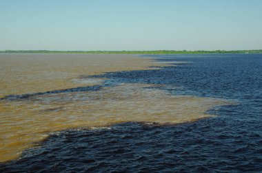 Rio Negro ve Rio Solimoes suları birbirine karışmaz