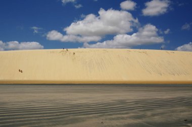 Jericoacoara yakınındaki büyük dune