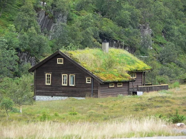 Tradiční norský dům s zatravněná střecha — Stock fotografie