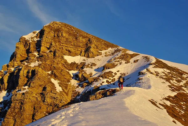 Zirve ridge, Mt.Rua üzerinde Friuli, gün batımında.