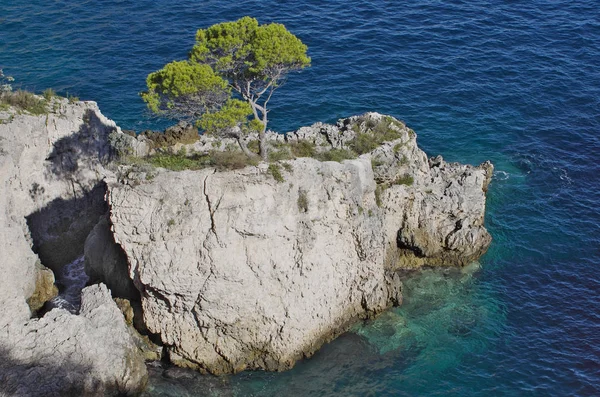 Coastline of the Tremiti, remote islands on th Adriatic sea. — Stock Photo, Image