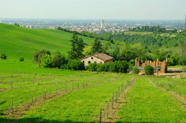 Uitzicht op de heuvels rondom Bologna, Italië — Stockfoto