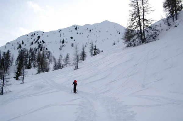 Skitouren auf der ofenspitze, lesachtal bei obertilliach. Österreich — Stockfoto