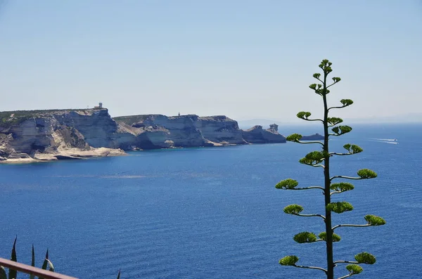 Τα λευκά βράχια του Bonifacio, Κορσική. — Φωτογραφία Αρχείου