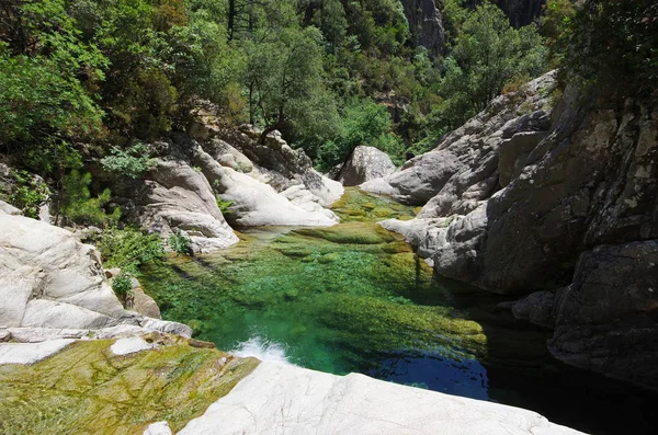 Trekking na Córsega: Purcaraccia Canyon — Fotografia de Stock