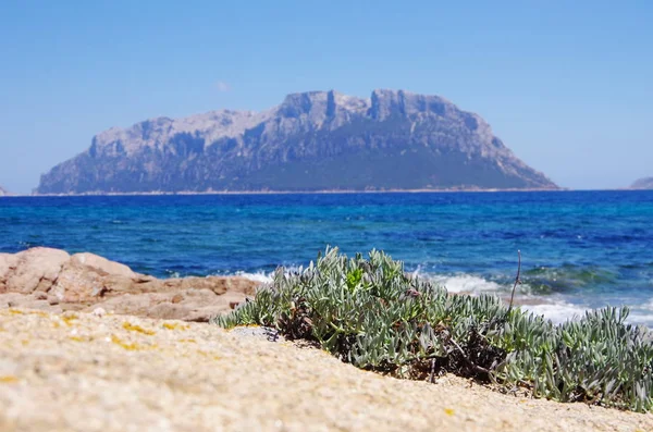 Tavolara 从撒丁岛海岸线美丽的景色. — 图库照片