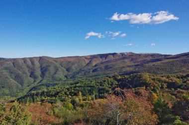 Casentino ve Appennines üzerinden Pratomagno, sonbahar yaprakları.