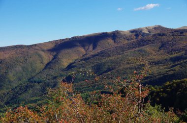 Casentino ve Appennines üzerinden Pratomagno, sonbahar yaprakları.