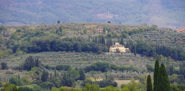 Toscane platteland hosts oude villa's. — Stockfoto