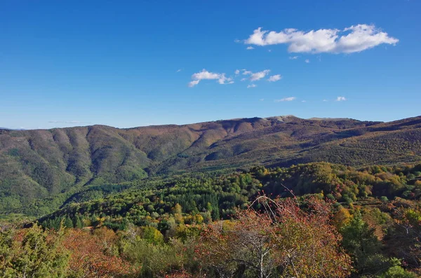 Casentino ve Appennines üzerinden Pratomagno, sonbahar yaprakları.