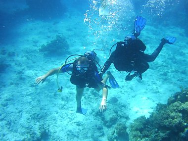 Dalış ve su Mısır deniz altında mercan