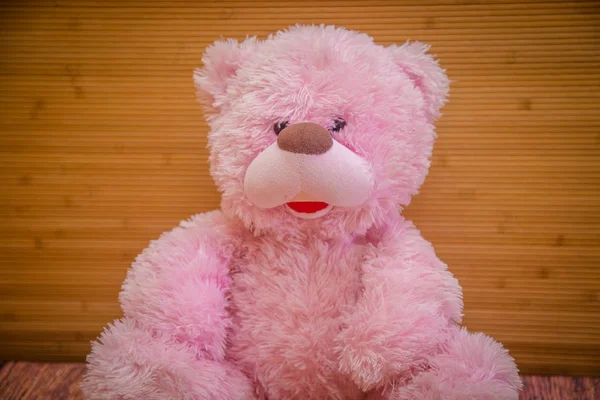 Brinquedo Rosa Urso Objeto — Fotografia de Stock