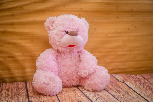 Brinquedo Rosa Urso Objeto — Fotografia de Stock