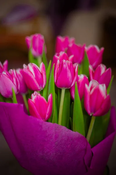 Пучок Розовых Тюльпанов Вес — стоковое фото
