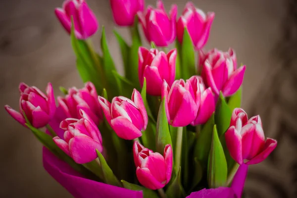 Een Heleboel Roze Tulpen Gewicht — Stockfoto