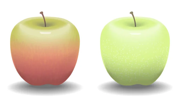 Apples.Vector illüstrasyon.
