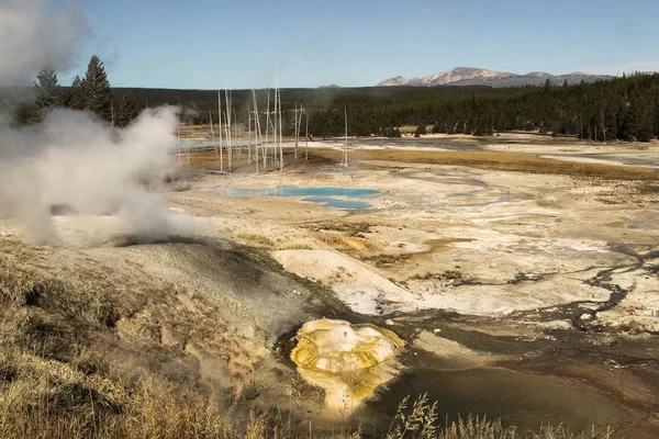Yellowstone Milli Parkı, Norris Şofben Havzası, Wy, ABD