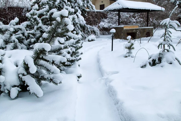 Karlı Arka Bahçe Patikası. Barbekü alanı olan kış manzarası, beyaz kar yığınları, kır bahçesinde çam ağaçları. Karlı Bahçe.