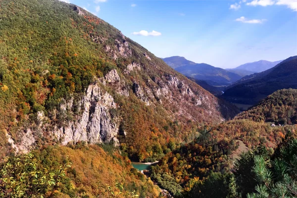 Fantastiskt Fjällandskap Med Färgglad Skog Fall Kalla Färger Träd Montenegro — Stockfoto