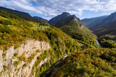 Dik uçurumları ve Tara nehri olan yeşil dağ manzarası. Dağ ufku. Djurdjeviç Köprüsü 'nden Durmitor ulusal parkındaki Karadağ kanyonu