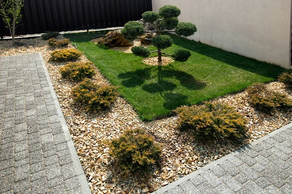 Modern  conifer tree garden design.  Pavement path of the garden.Modern Garden design with large stones.. Cloud pruned topiary tree.