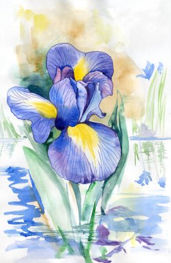 Mavi göz. Elle yapılan suluboya illüstrasyon