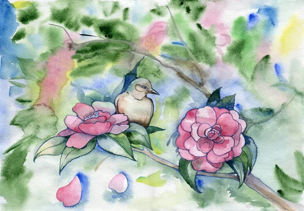 Соловьиная Птица Цветы Камелии Иллюстрация Акварелью — стоковое фото