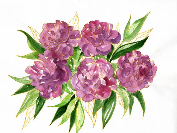 Розовые Пионы Иллюстрация Акварелью — стоковое фото