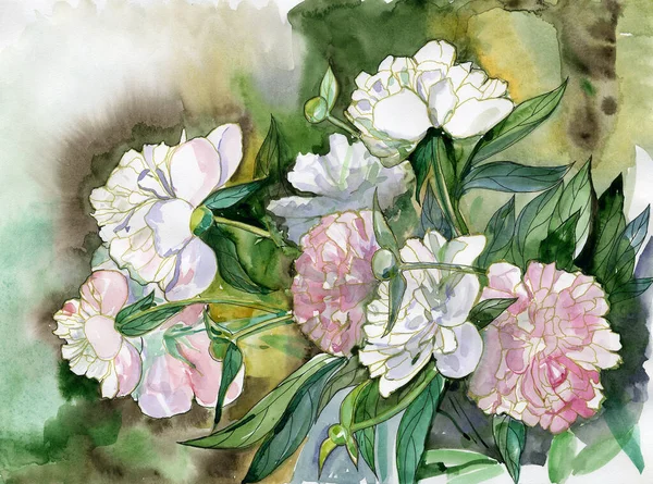 Rosa Pioner Akvarell Illustration Gjord För Hand — Stockfoto