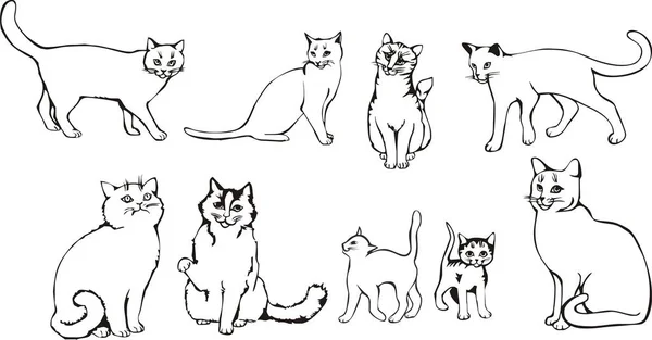 Uppsättning Vektor Katter Djur Teckning Vektor Illustration — Stockfoto