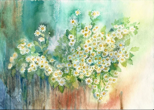 Little white daisy flowers. Botanical illustration.Painting with watercolor flowers, hand-painted. Handwork.