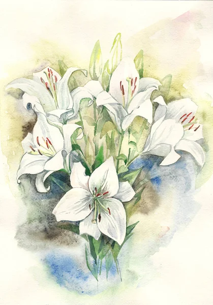 Белые Лилии Ботаническая Иллюстрация Живопись Акварельными Цветами Ручная Роспись Ручная — стоковое фото