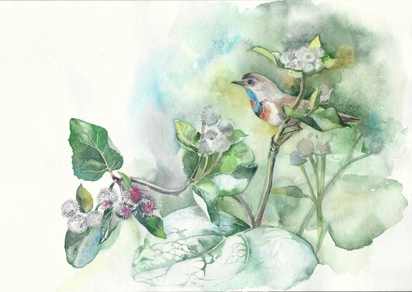 Vogel Der Klette Botanische Illustration Malerei Mit Aquarellblumen Handgemalt Handarbeit — Stockfoto