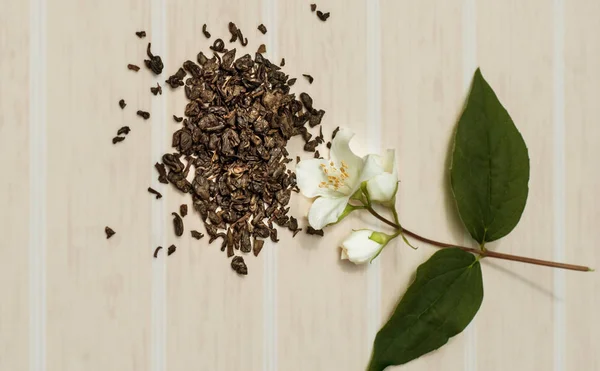 Spilled green tea and a sprig of flowering jasmine