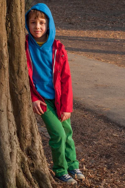 Aranyos fiú állt egy fa alatt a parkban — Stock Fotó