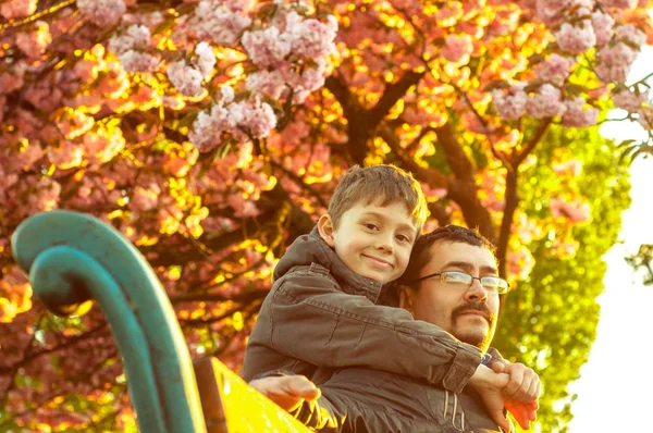 Padre e hijo están sentados en un banco bajo una flor de cerezo — Foto de Stock