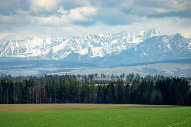 Tatra dağlarının güzel manzarası. Arka planda dağlar, ön planda çayırlar ve ormanlar