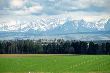 Tatra dağlarının güzel manzarası. Arka planda dağlar, ön planda çayırlar ve ormanlar