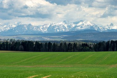 Tatra dağlarının güzel manzarası. Arka planda dağlar, ön planda çayırlar ve ormanlar