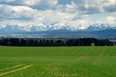 Tatra dağlarının güzel manzarası. Arka planda dağlar, ön planda çayırlar ve ormanlar