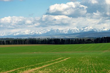 Tatra dağlarının güzel manzarası. Arka planda dağlar, ön planda çayırlar ve ormanlar